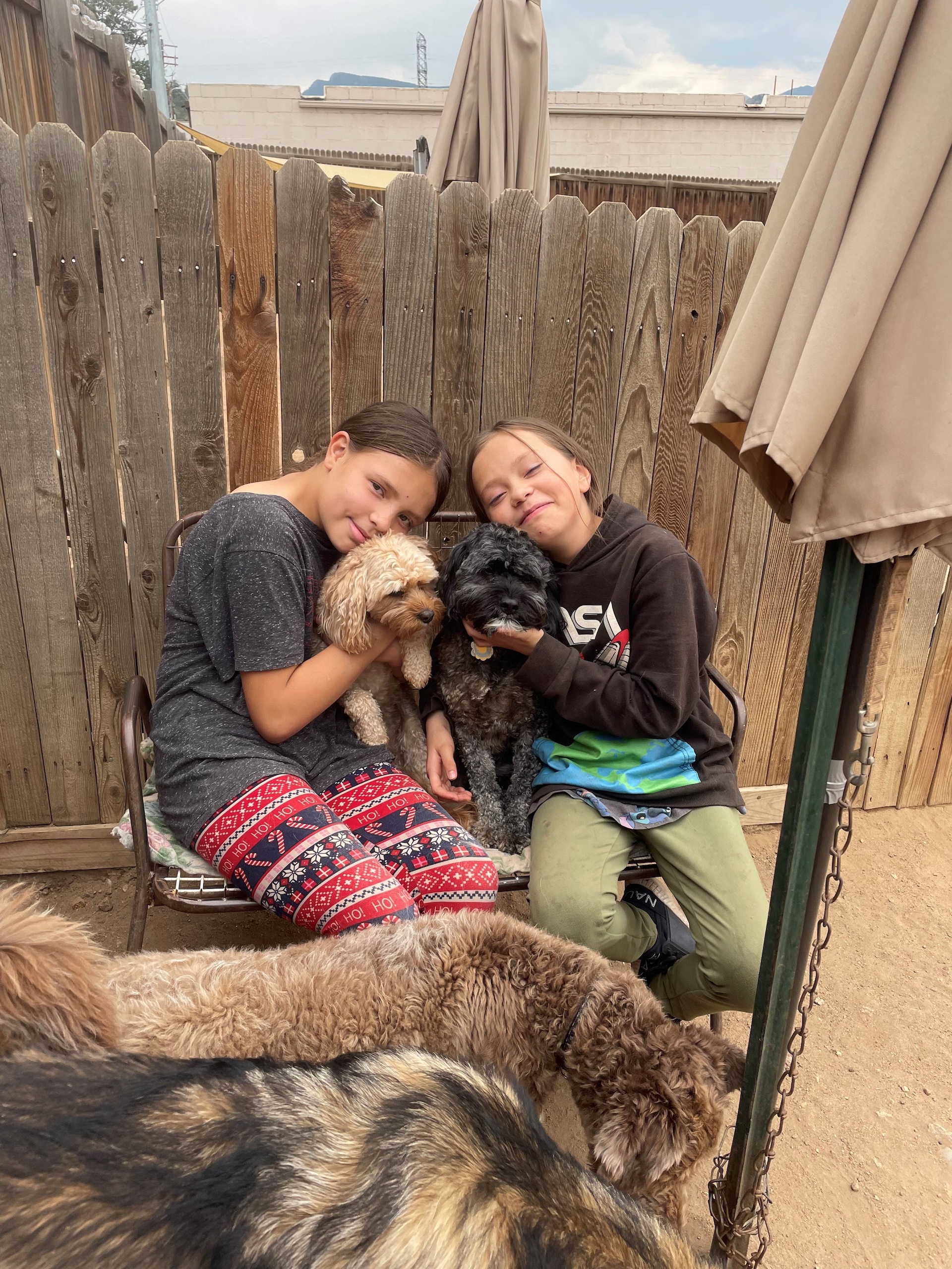 House & Pet Sitting Estes Park