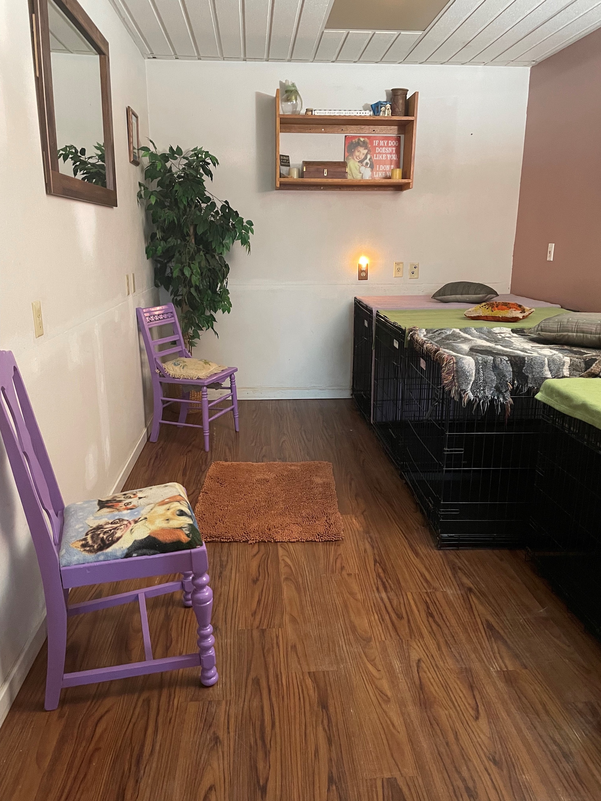 Dog Daycare Estes Park